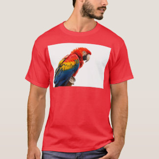 T-shirt Perroquet 57 3