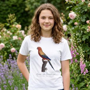 T-shirt Perruche soleil mâle, Aratinga solstitialis