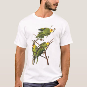 T-shirt : Perruches - par John Audubon