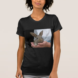 T-shirt petit lapin doux