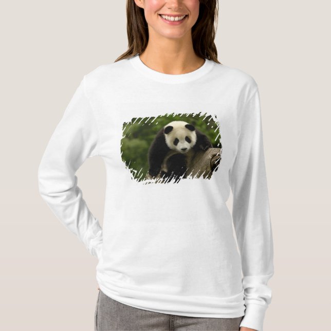 T-shirt Petit panda géant (Devant)