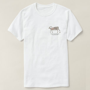 T-shirt Petroglyph, chèvre de montagne