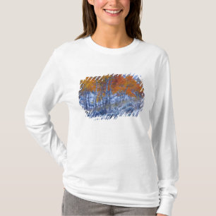 T-shirt Peupliers trembles en couleurs d'automne, montagne