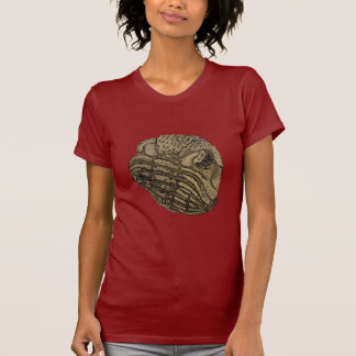 T-shirt Phacops