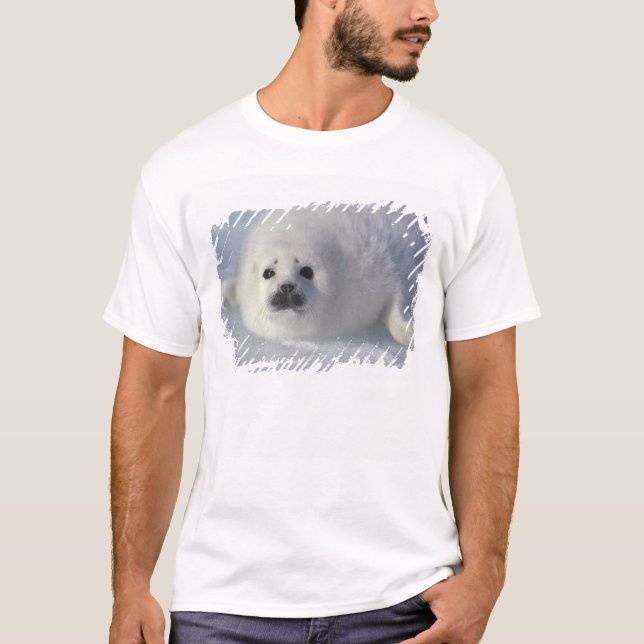T-shirt Phoque du Groenland (Phoca groenlandica) Un harpe  (Devant)