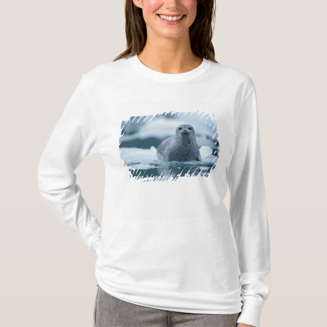 T-shirt phoque du port pacifique, Phoca vitulina richardsi (Devant)