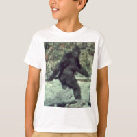PHOTO 1967 DE BIGFOOT SASQUATCH D'ORIGINAL