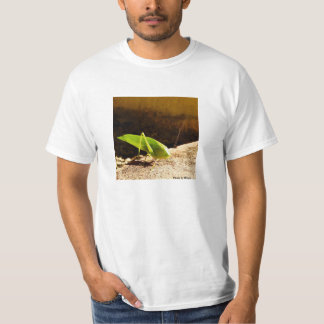 T-shirt photo by Roque