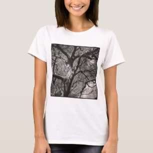 T-shirt Photo carré - Arbre de Magnolia au début du printe