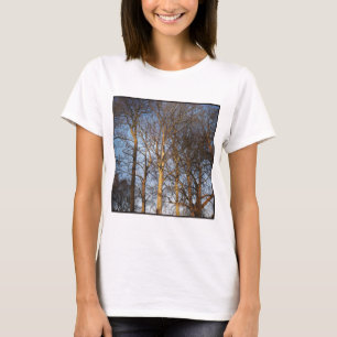 T-shirt Photo carré - Arbres d'hiver illuminés par le sole