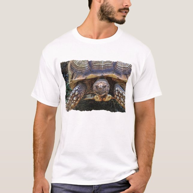 T-shirt Photo de tortue (Devant)