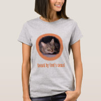 Photo et nom de votre chat sur cette photo