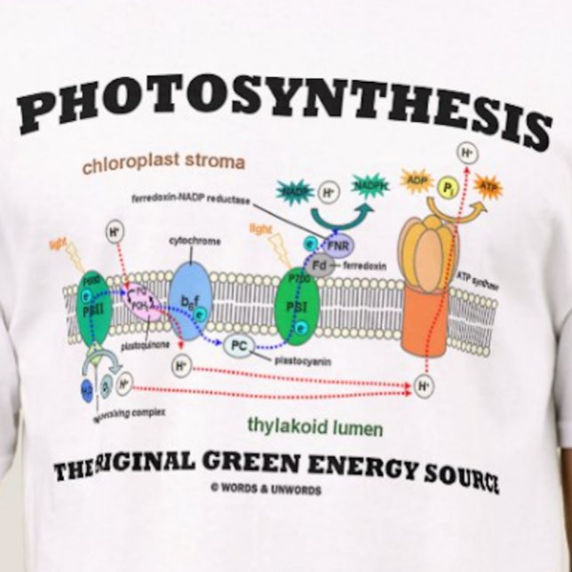 T-shirt Photosynthèse La Source D'Énergie Verte Originale (Tee featuring light-dependent reactions of photosynthesis)
