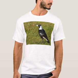 T-shirt Pie