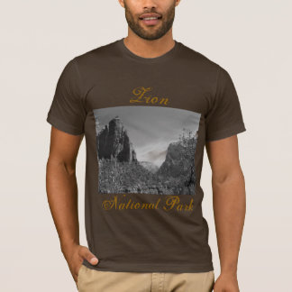 T-shirt Pièce en t de photo de Zion