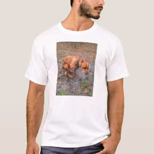 T-shirt Pièce en t minimum de Pin de cabots de Pooping