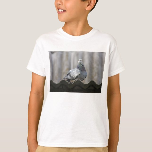 T-shirt Pigeon sur le toit. (Devant)
