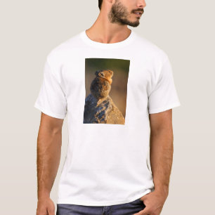 T-shirt pika