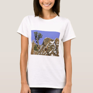 T-shirt Pin de Bristlecone