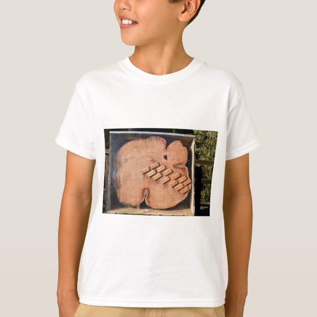 T-SHIRT PIN TASMANIE AUSTRALIE DE HOUN (Devant)