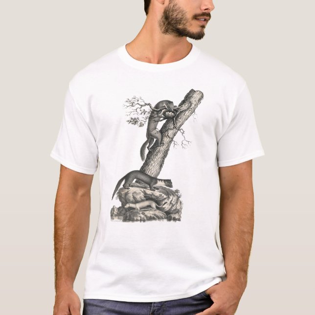 T-shirt Pine Marten, House Marten et Ermine Antique Imprim (Devant)