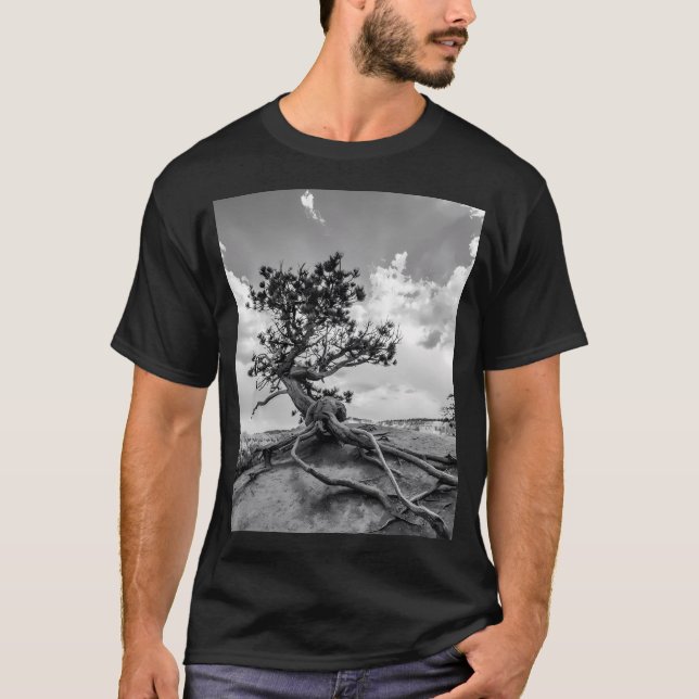 T-shirt Pine Sur Queens Garden Trail (Devant)