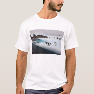 T-shirt Pingouins