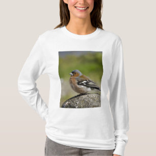 T-shirt Pinson des arbres mâle (SAUVAGE: Fringilla coelebs