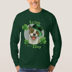 T-shirt Pitbull du jour de St Patrick