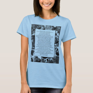 T-shirt Pitbull… Je ne veux pas combattre…