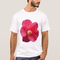 Pivoine d'arbre