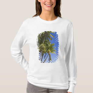 T-shirt Plage bordée de palmiers Îles Cook 3