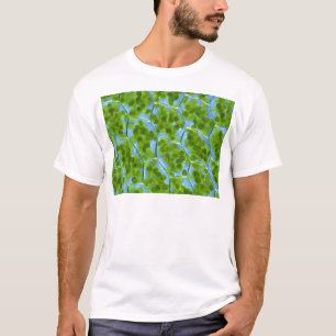 T-shirt Plagiomnium affinent des cellules de plante avec