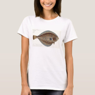 T-shirt Plaice (Pleuronectes Platessa) plate XLII from 'Ic