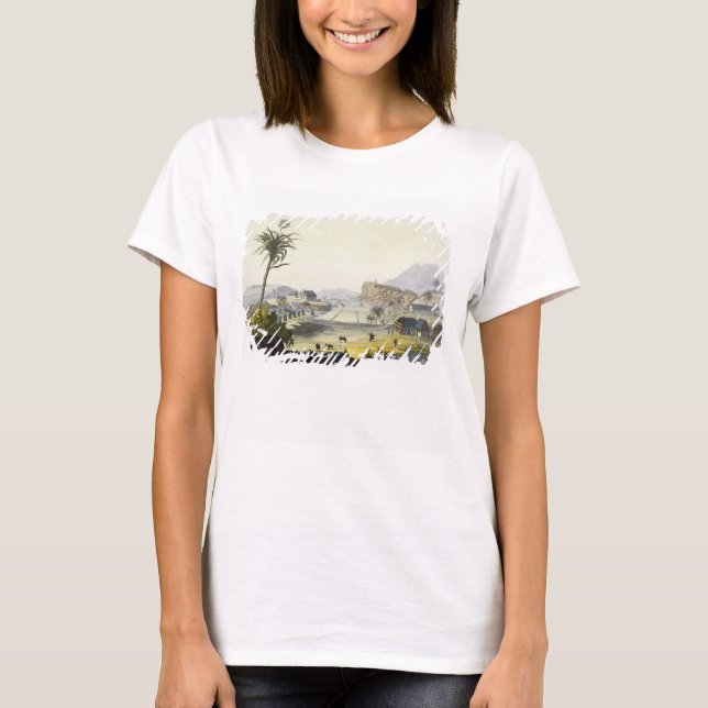 T-shirt Plantation de sucre, Antilles (gravure couleur) (Devant)