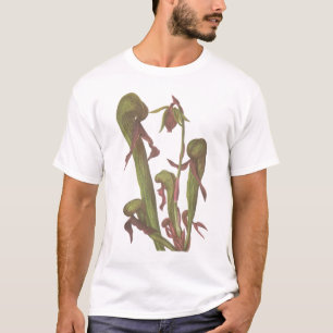 T-shirt Plante carnivore - californica de Darlingtonia