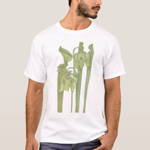 T-shirt Plante carnivore - Sarracenia flava
