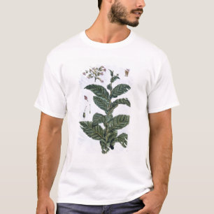T-shirt Plante de tabac, plat 7, de 'collection Precieuse