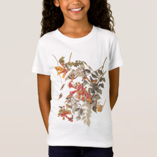 T-Shirt Plaque Audubon Colibri Ruby Throated 47