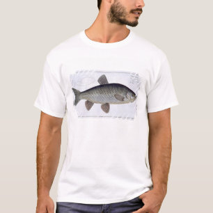 T-shirt Plat VI de chabot (Cyprinus Jeses) de
