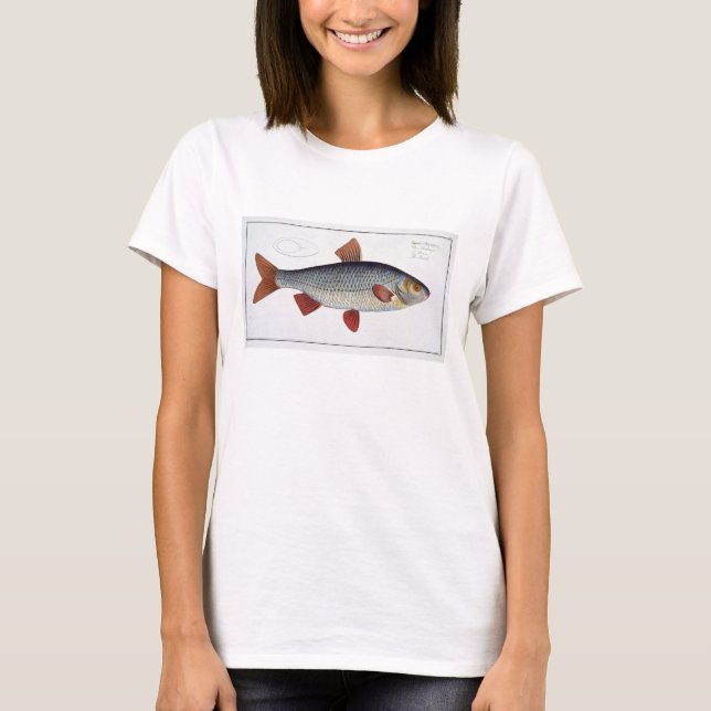 T-shirt Plate II de cafard (Cyprinus Rutilis) de 'Ichthyol (Devant)