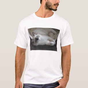 T-shirt Point de joint et chemise blanche de Kitty de