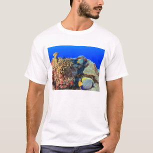 T-shirt Poisson-ange royal Pygoplites diacanthus),