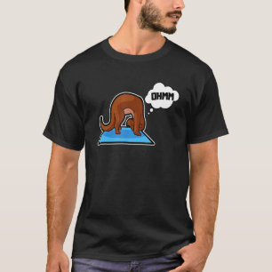T-shirt Poisson Otter Yoga Poses Sport Gymnastique Ohm Coe