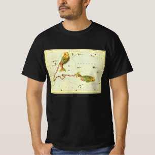 T-shirt Poissons, Miroir d'Urania constellation vintage