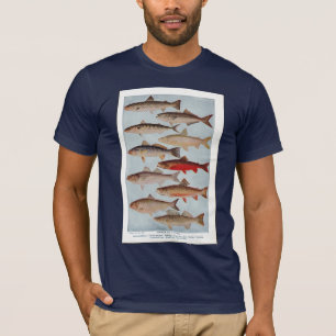 T-shirt Poissons vintages