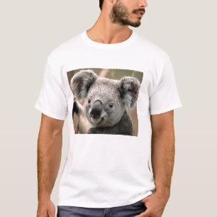 T-shirt pôle koala