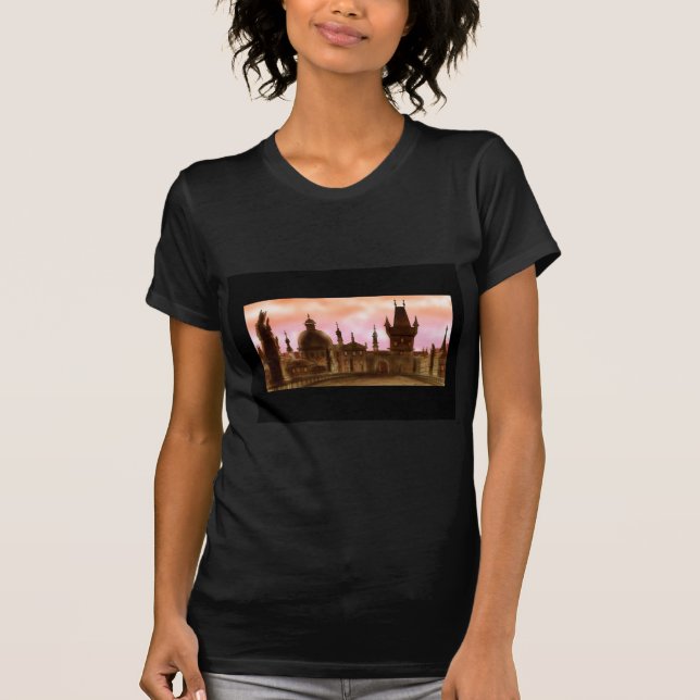 T-shirt pont Prague de Charles (Devant)