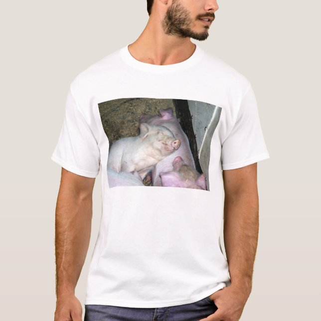 T-shirt Porcs de bébé (Devant)