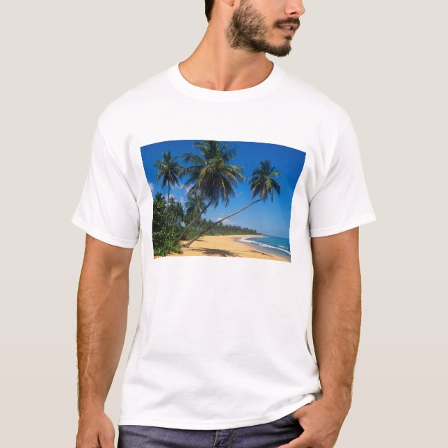 T-shirt Porto Rico, Isla Verde, palmiers. (Devant)